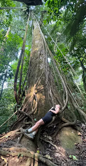 In disbelief of these enchanting trees in Corcovado National Park in Costa Rica.