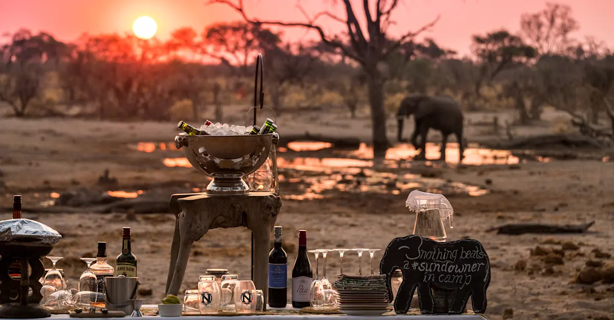 African elephant and sundowners at Nat Hab's Gomoti Camp