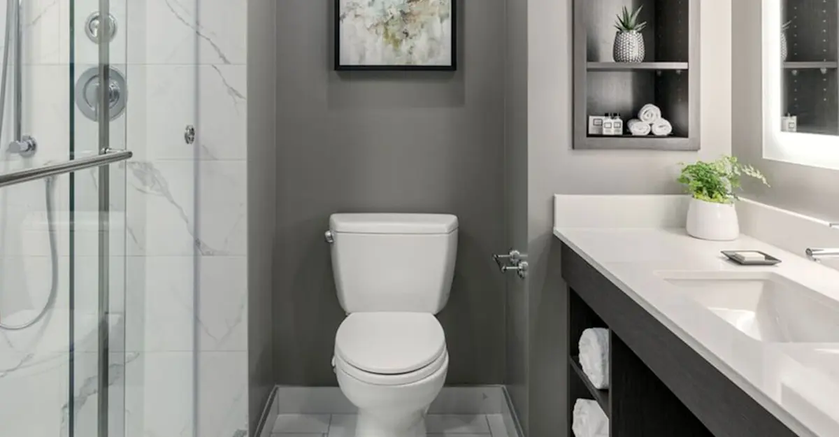 Guest bathroom