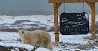 Slideshow Thumbnail 1 of 8