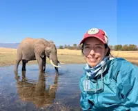Magical moment: Elephant taking a dip at Kariba Lake, Africa.