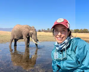 Magical moment: Elephant taking a dip at Kariba Lake, Africa.