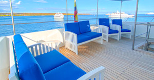Sun Deck
