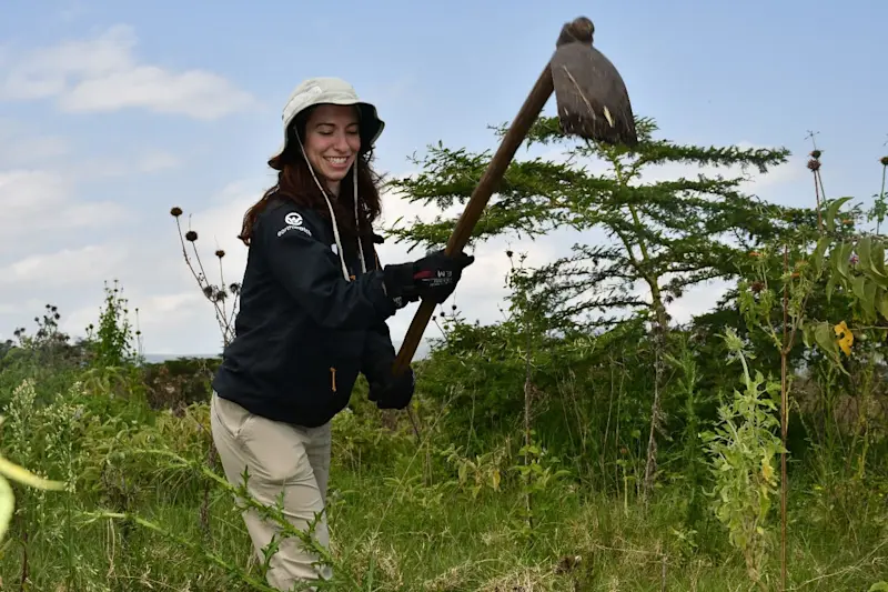 Restoring degraded land in the greater Maasai Mara on an Earthwatch expedition.
