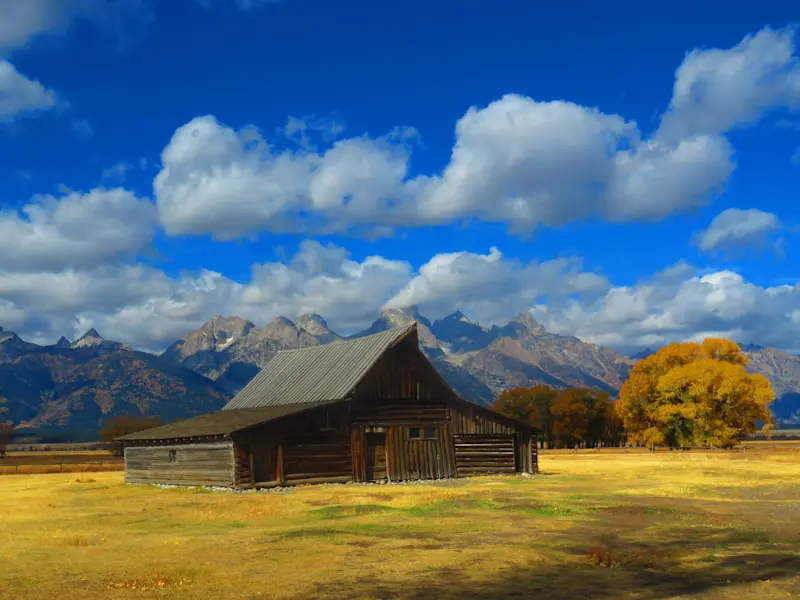 Taking in the views in Yellow Stone National Park, Wyoming.