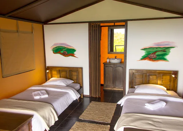 Accommodations|Natural Habitat Wild Tortoise Camp|Nat-Hab-Wild-Tortoise-Camp-19