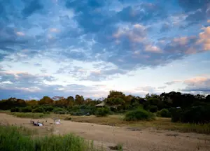 Slideshow Image