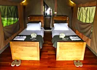 Slideshow Thumbnail 6 of 12