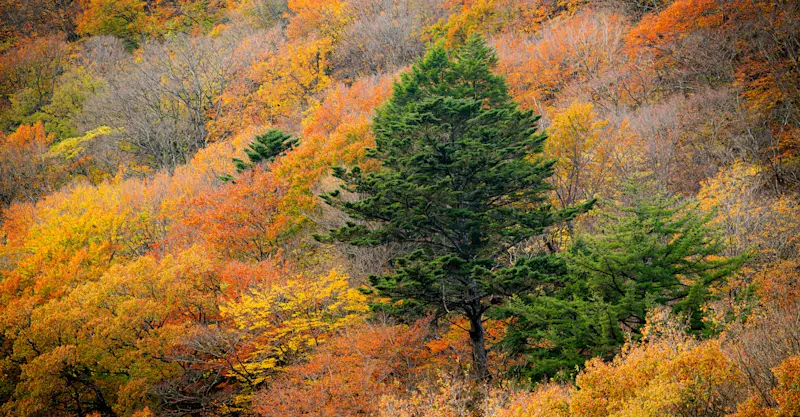 Riokyo, Nikko, Japan
