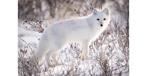 Slideshow Image Thumbnail 14 of 21