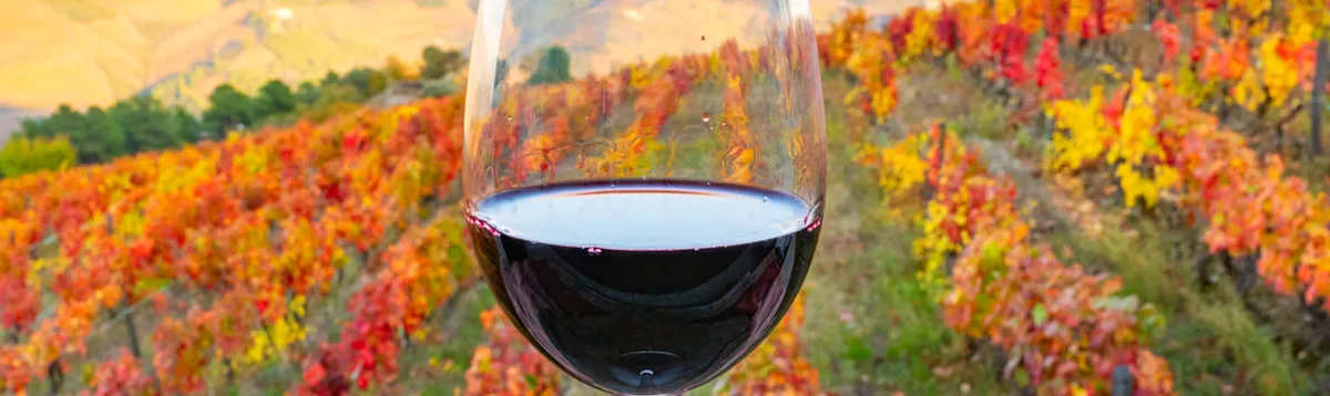 Red wine, port wine, Portugal