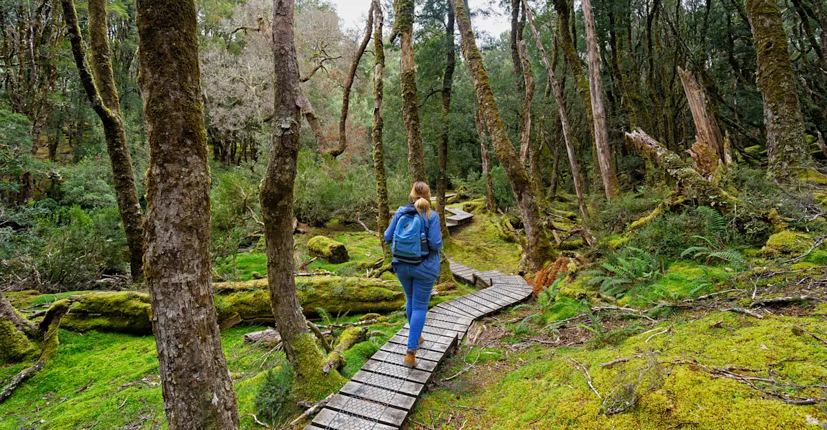Cradle Mountain–Lake St. Clair National Park, Tasmania, Australia.