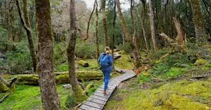 Cradle Mountain–Lake St. Clair National Park, Tasmania, Australia.
