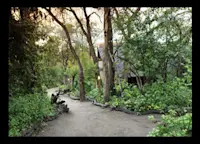 Slideshow Thumbnail 4 of 13