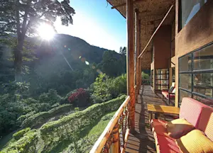 Mahogany Springs Lodge Bwindi Impenetrable National Park Uganda
