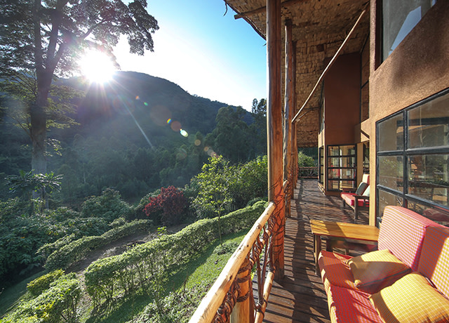 Mahogany Springs Lodge Bwindi Impenetrable National Park Uganda