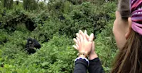 Trekking to see the mountain gorillas with local community members in Rwanda.