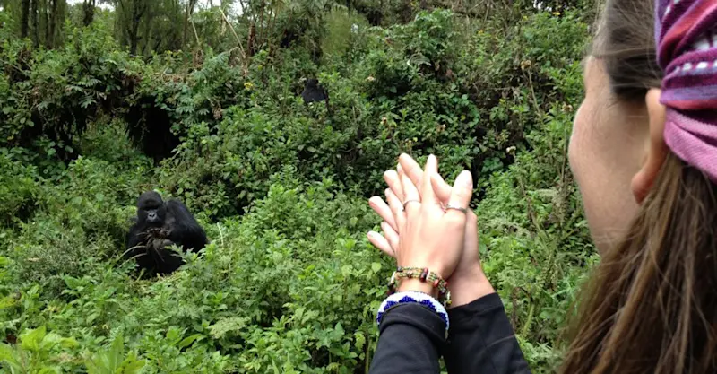 Trekking to see the mountain gorillas with local community members in Rwanda.