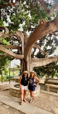 Pausing beneath a wise tree in Korčula, Croatia.