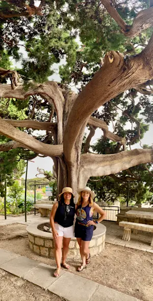 Pausing beneath a wise tree in Korčula, Croatia.