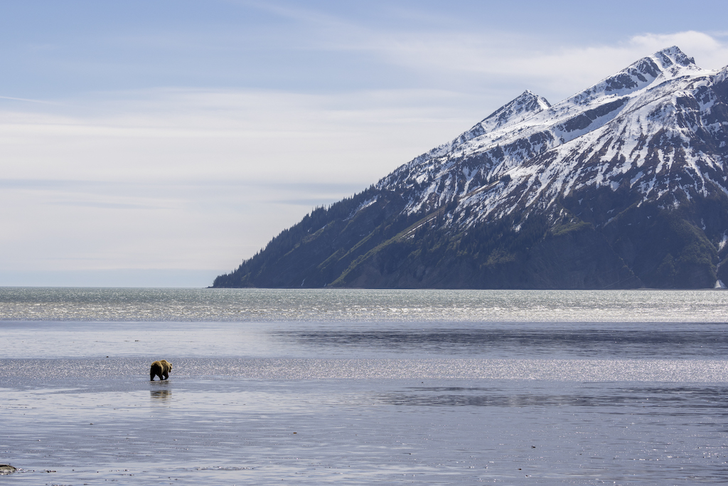 Beforeyougo|Alaska-North|Alaska|_08A1868