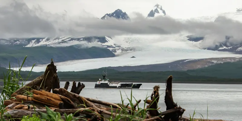 Nat Hab guests and brown bear, Katmai National Park & Preserve, Alaska.