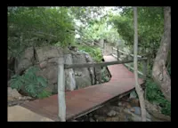 Slideshow Thumbnail 1 of 7