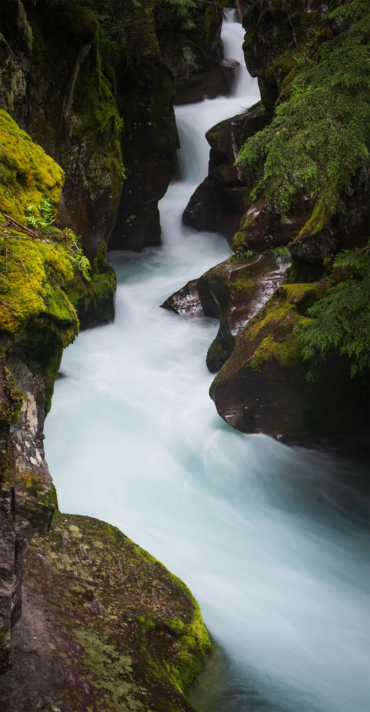 Avalanche Gorge, Glacier National Park.