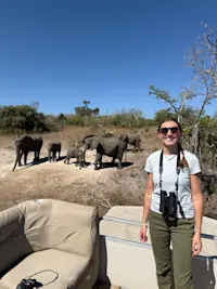 Elephants in Chobe National Park in Botswana.