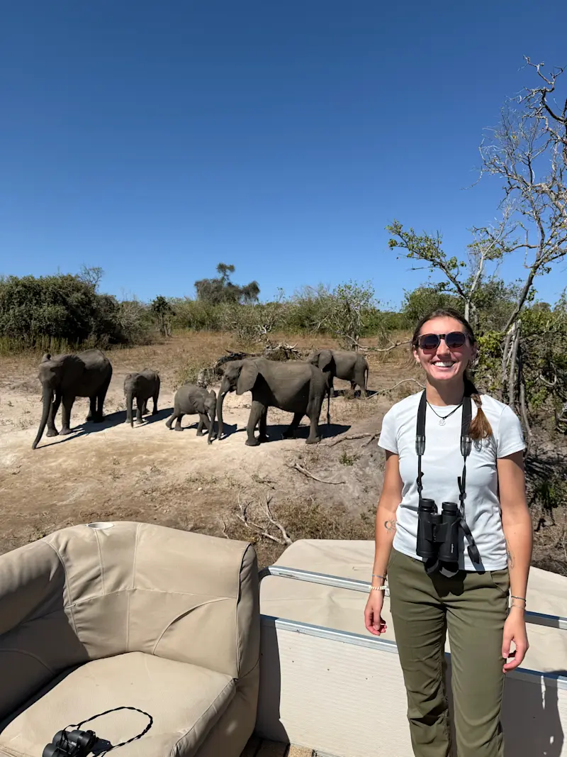 Elephants in Chobe National Park in Botswana.