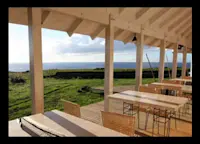 Slideshow Thumbnail 4 of 12