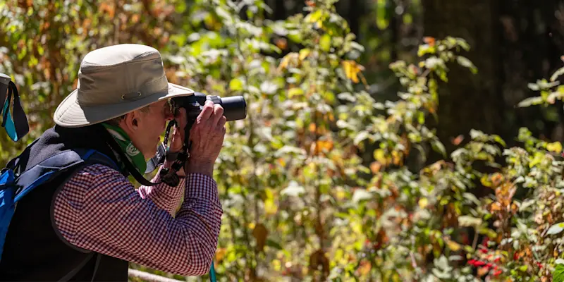 Nat Hab guest, El Rosario Butterfly Sanctuary, Mexico.