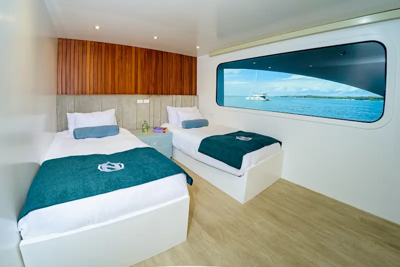 Category 1: Cabins 1-4