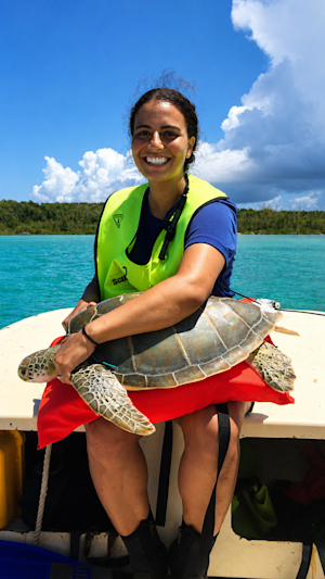 Processing a sea turtle in the Bahamas on Eleuthera Island