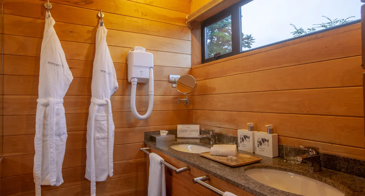 Guest bathroom