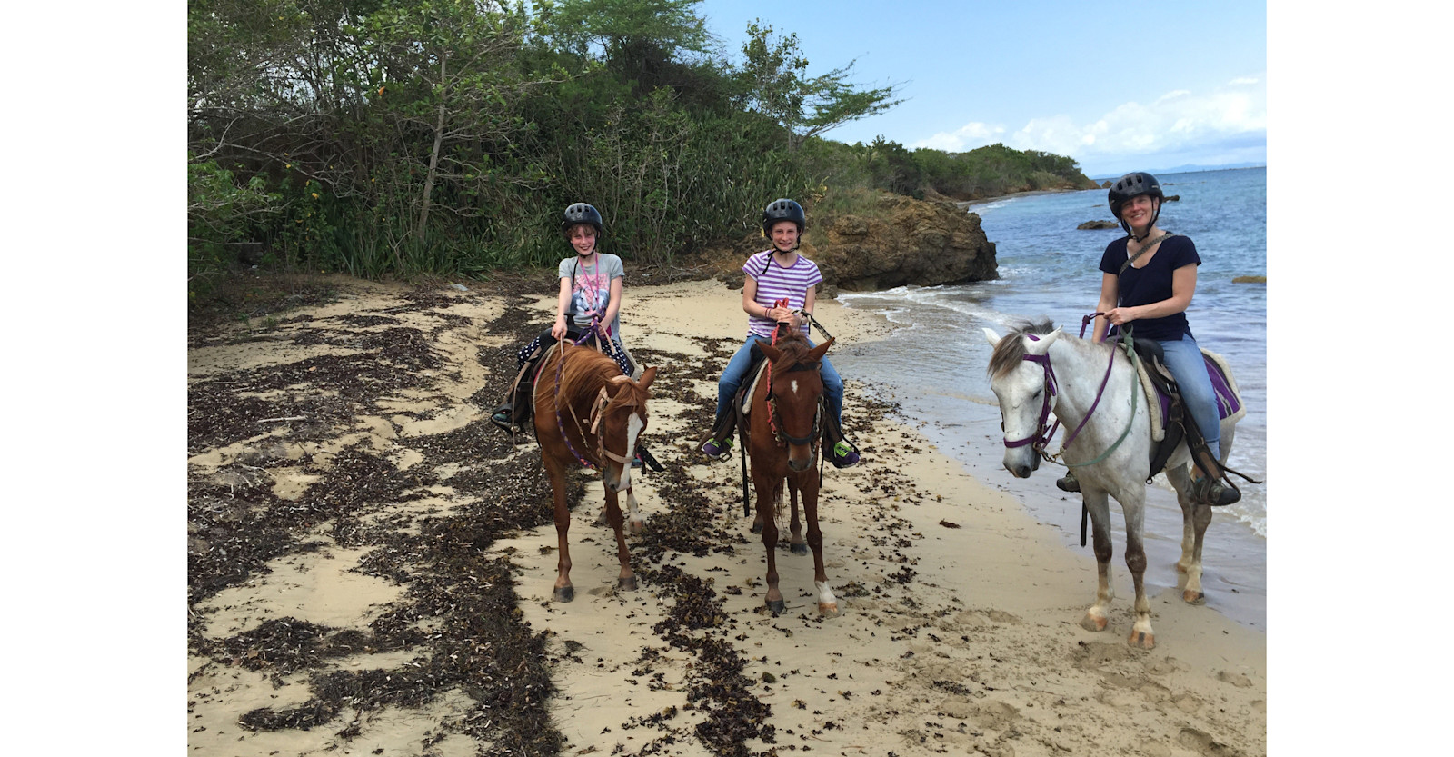 Vieques horseback riding.