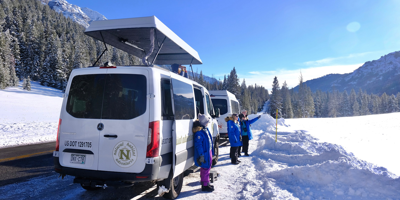 Nat Hab’s North America Safari Cruiser, Yellowstone National Park, Wyoming.