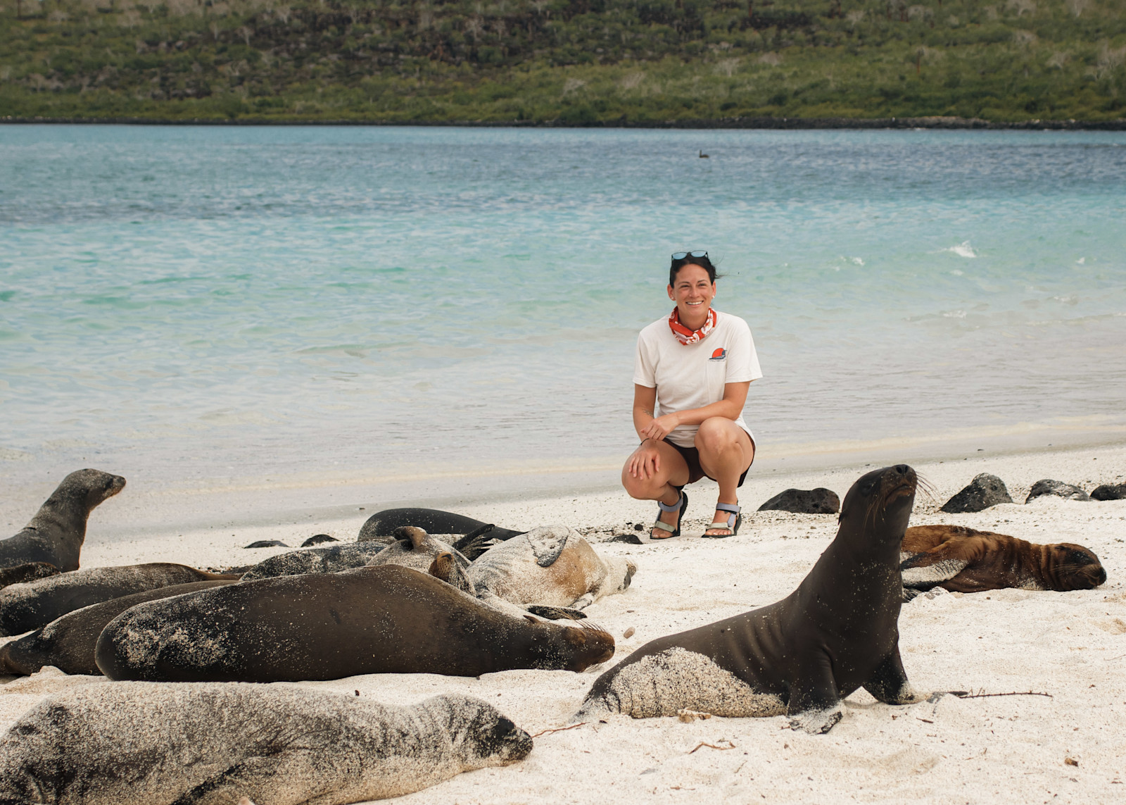 Experiencing sea lions in the Galapagos. 