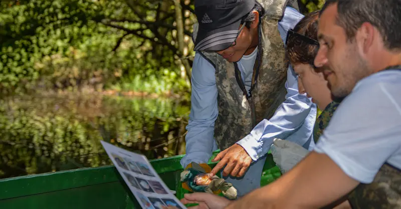 Earthwatch Scientist teaches guests fish species identification, Amazon, Peru.