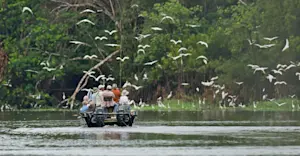 Nat Hab guests on a skiff ride, Pacaya Samiria National Reserve, Peru.