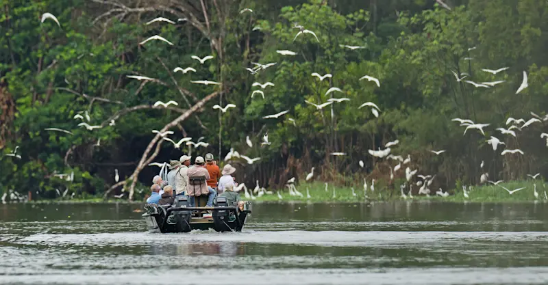 Nat Hab guests on a skiff ride, Pacaya Samiria National Reserve, Peru.