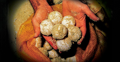 Why It Matters image