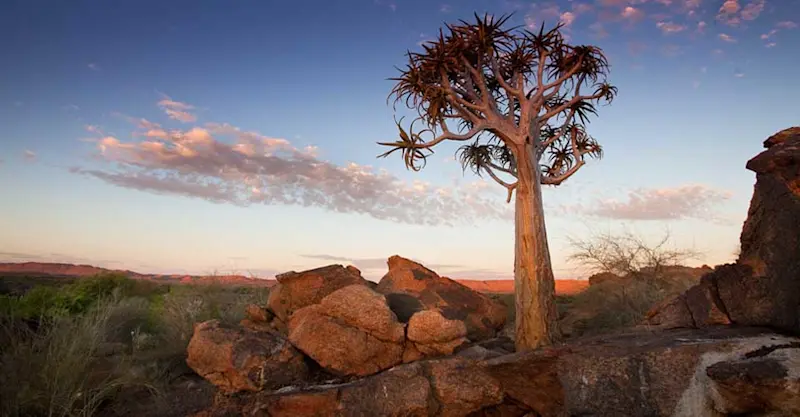 Tswalu Kalahari Reserve, South Africa.
