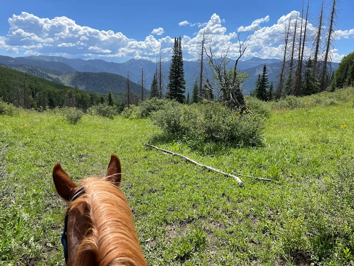 Finding peace and perspective while soaking in the beauty of home high in the Rocky Mountains of Colorado.