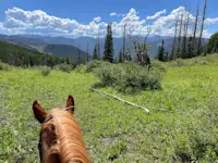 Finding peace and perspective while soaking in the beauty of home high in the Rocky Mountains of Colorado.