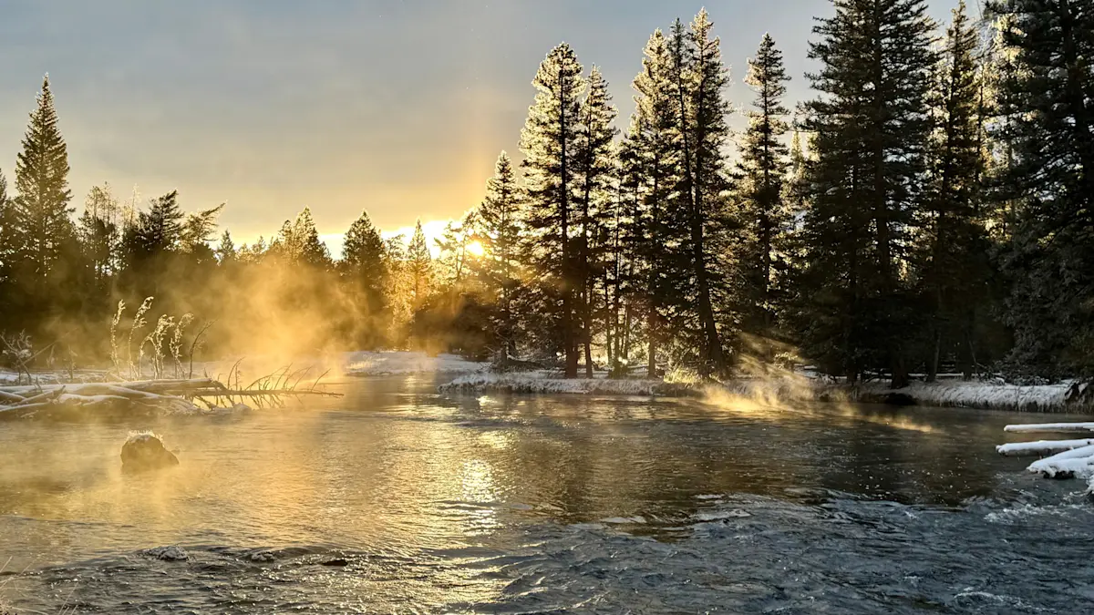 Yellowstone National Park, Wyoming.