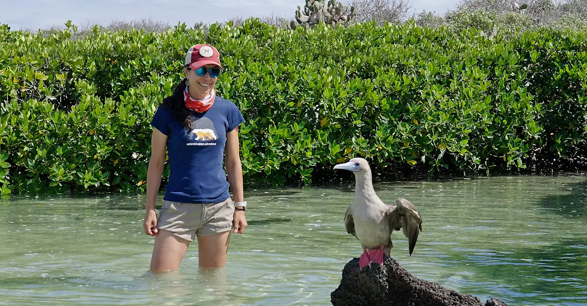 Nat Hab Expedition Leader and red-footed booby, San Cristobal Island, Ecuador.