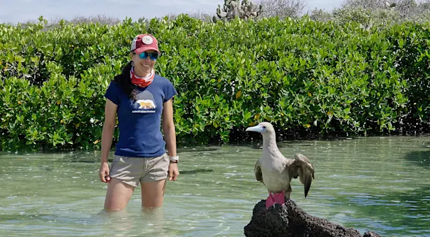 Nat Hab Expedition Leader and red-footed booby, San Cristobal Island, Ecuador.