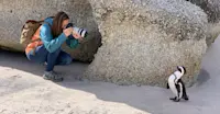 Hanging out with the coolest local on the beach in Capetown, South Africa.