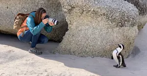 Hanging out with the coolest local on the beach in Capetown, South Africa.